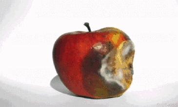 游戏专题 第115页
