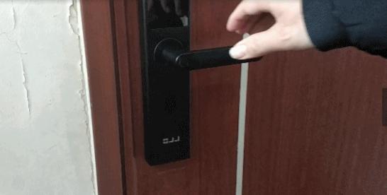 港澳新闻 第77页