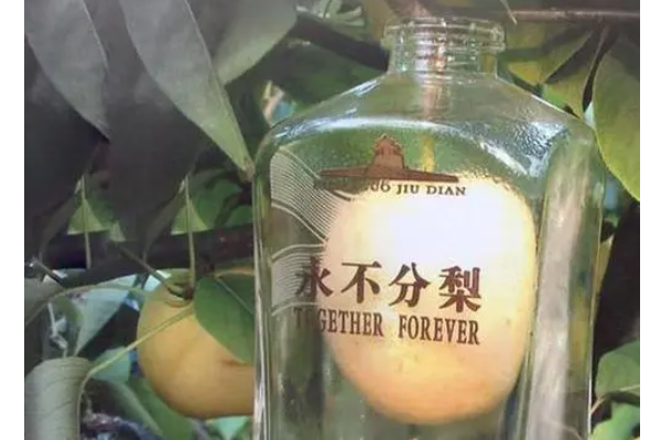 娱乐生活 第75页