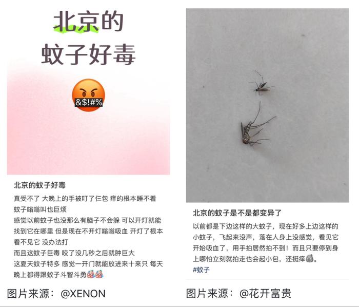 地方新闻 第52页