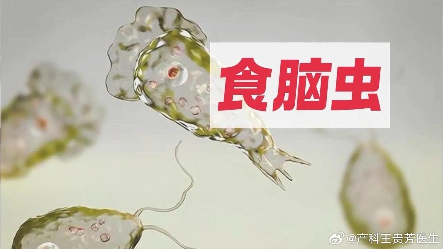 港澳新闻 第28页