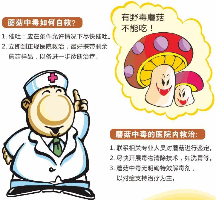 食蘑菇中毒如何处理?食蘑菇中毒应急处理指南，如何应对蘑菇中毒危机